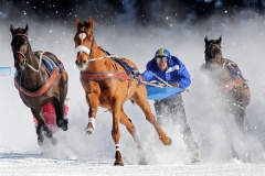 В Гидропарке состоятся соревнования по конному скиджорингу - фото