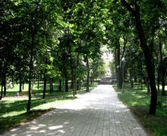 В Киеве обновят около 20 парков и скверов - фото