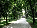 В Киеве обновят около 20 парков и скверов