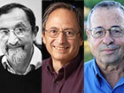 Лауреатами Нобелевской премии по химии стали трое американцев