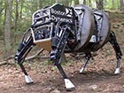 Google купил известного разработчика роботов Boston Dynamics