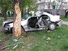 В Прилуках автомобиль врезался в дерево - 5 погибших