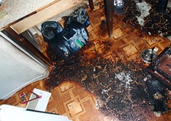 В Киеве в квартире на Милютенко произошел взрыв - фото