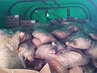Комбат сопровождал 10 тонн мяса на оккупированную часть Луганщины