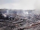 Видео первых минут после падения малазийского авиалайнера