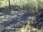 На Ровенщине привязали подростка к дереву, надели на голову пакет и хотели сжечь