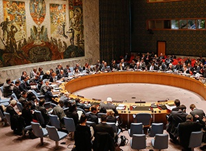 В Совбезе ООН выразили полную поддержку суверенитета и территориальной целостности Украины - фото