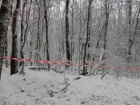 В лесу на Львовщине нашли погибших отца и сына
