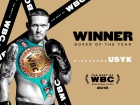 WBC признала Усика боксером года