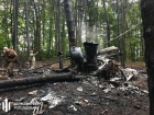Ми-8 упал в лес и почти полностью сгорел