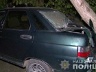 На Виннитчине пьяная водитель наехала на четверых детей