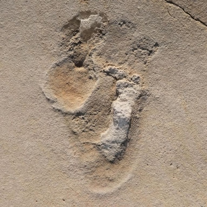 Древнейшие отпечатки ног пред-человека обнаружены на Крите - фото