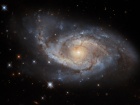 "Хаббл" показал парус из звезд