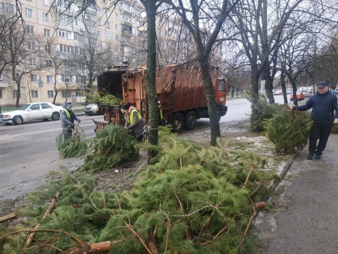 Одесские торговцы не просто выбросили очень много елок - фото