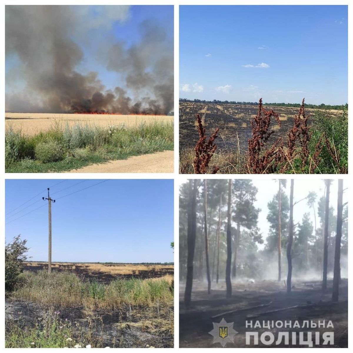 россияне продолжают уничтожать урожай на Херсонщине - фото