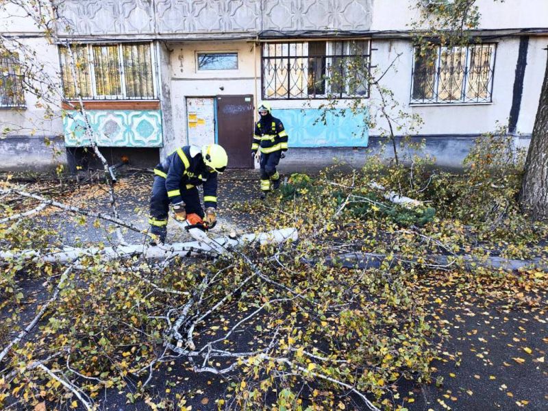 Из-за непогоды в Киеве уже двое погибших - фото