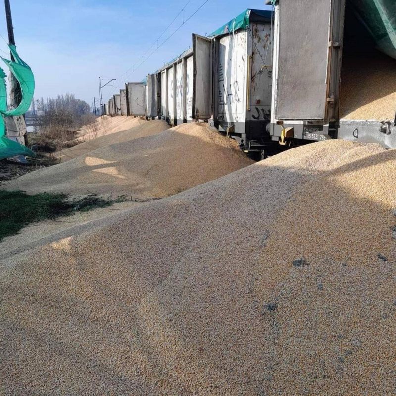 В Польше на железной дороге намеренно повредили 160 тонн украинского зерна - фото