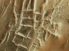 "Город Инков" на Марсе "заселен" паукообразными особенностями