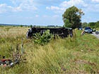 На Київщині мотоцикл зіткнувся з маршруткою – загинули двоє