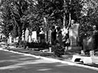 «Майора Вихора» поховають сьогодні на Байковому кладовищі