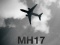 Суд про збитий літак MH17 проведуть в Нідерландах