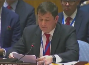 Росія на Радбезі ООН назвала несусвітню причину атаки в Керченській протоці - фото