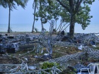 Кількість жертв від цунамі в Індонезії зросло до 281