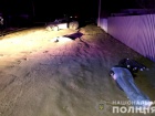 На Київщині вночі водій на смерть збив двох дівчат