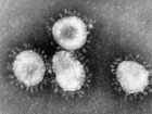 Кількість померлих від китайського коронавірусу зросло до 1116