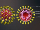 Від коронавірусу летальних випадків у світі майже 2,7 тисяч