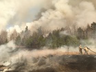 Затримано двох паліїв, які спричинили наймасштабнішу пожежу на Житомирщині