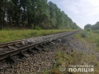 На Житомирщині намагалися підірвати потяг з нафтопродуктами