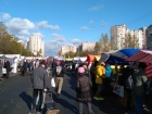 В Києві 9-14 листопада тривають районні продуктові ярмарки