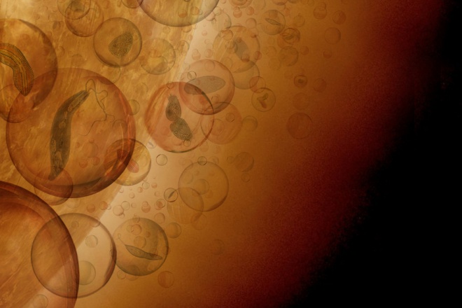 Чи можуть форми життя, які нейтралізують кислоту, створити життєпридатні кишені в хмарах Венери? - фото