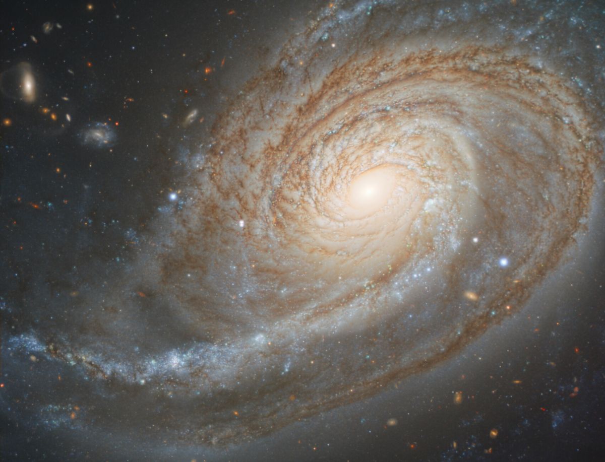 Спіральна галактика NGC 772 має надмірно розвинений спіральний рукав - фото
