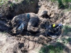 На Київщині знайшли ще трьох страчених цивільних