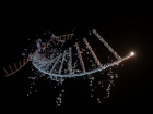 Створення мРНК за допомогою хімічного процесу може дозволити створювати індивідуальні мРНК-вакцини