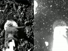 Поверхня астероїда Бенну подібна басейну з пластиковими кульками