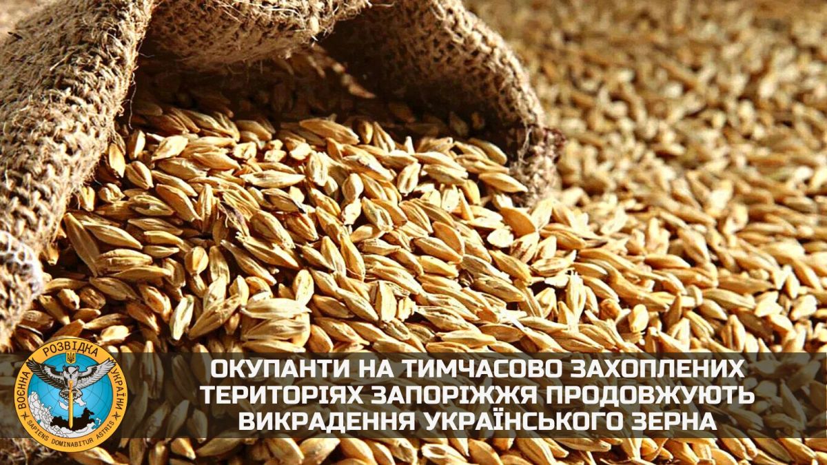 росіяни продовжують викрадати зерно на окупованих територіях - фото