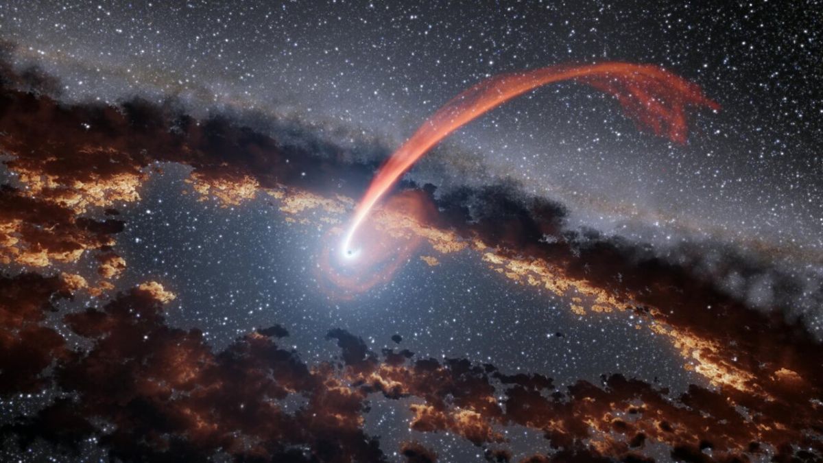 Чорна діра регулярно від′їдає від зірки, відпускаючи її від себе - фото