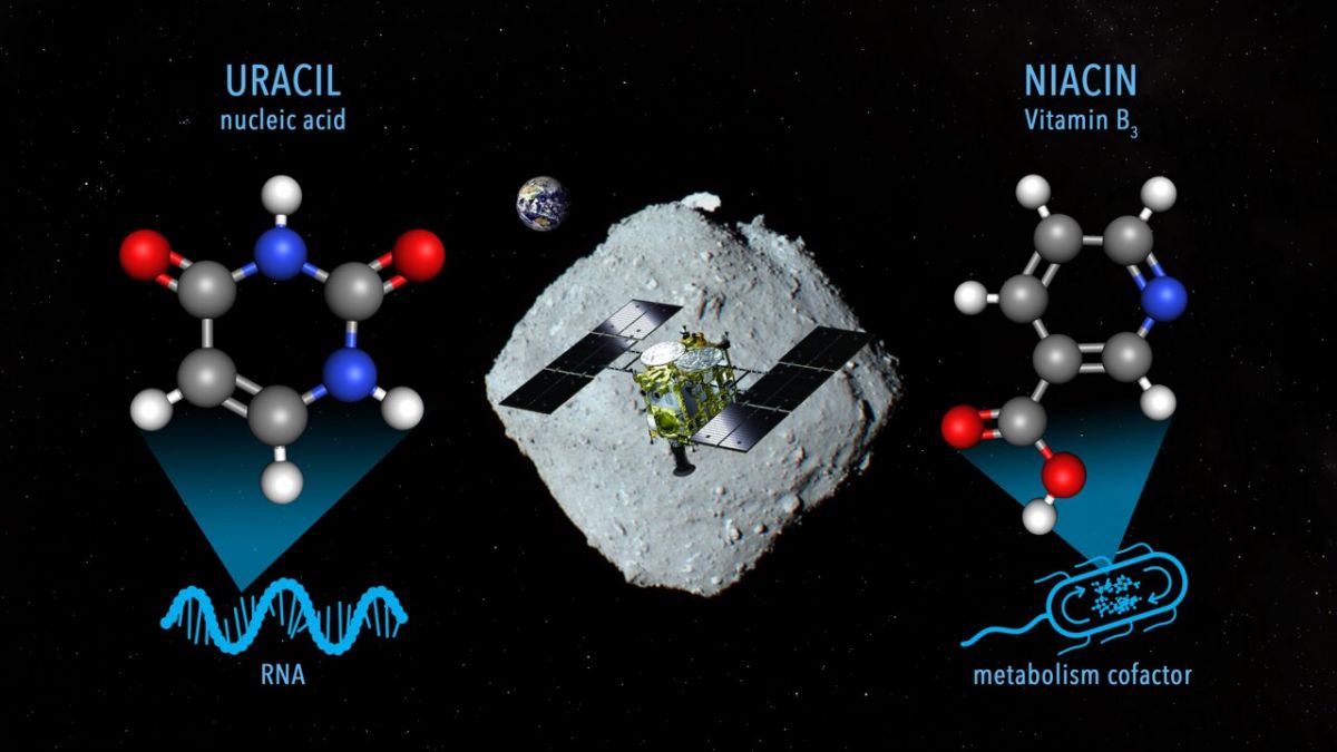 В зразках астероїда Рюгу виявлено молекулу РНК урацил - фото