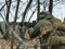 Війна в Україні, оперативна інформація на ранок 15 березня