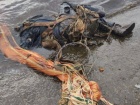 З Київського водосховища винесло тіло командира збитого Мі-24