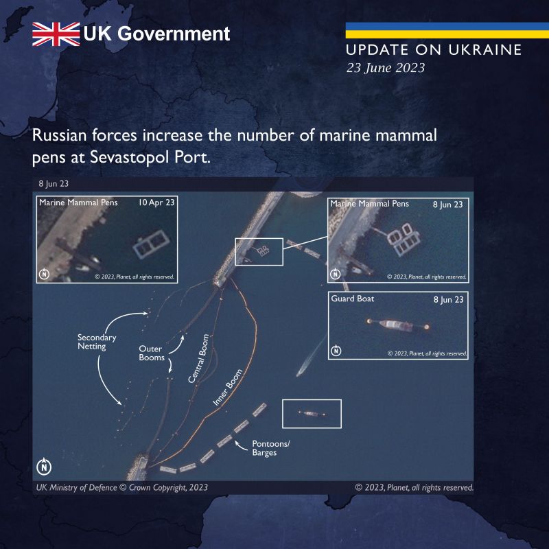 росія посилила захист головної бази чф рф в Севастополі, у тому числі дельфінами, - британська розвідка - фото