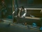 Велике оновлення Cyberpunk 2077 додало класичний мем з Кіану Р...