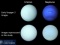 Нептун та Уран насправді майже однакові за кольором