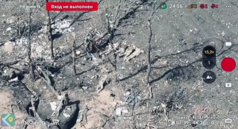 Під Покровськом російські військові розстріляли 5 українських військовополонених - фото