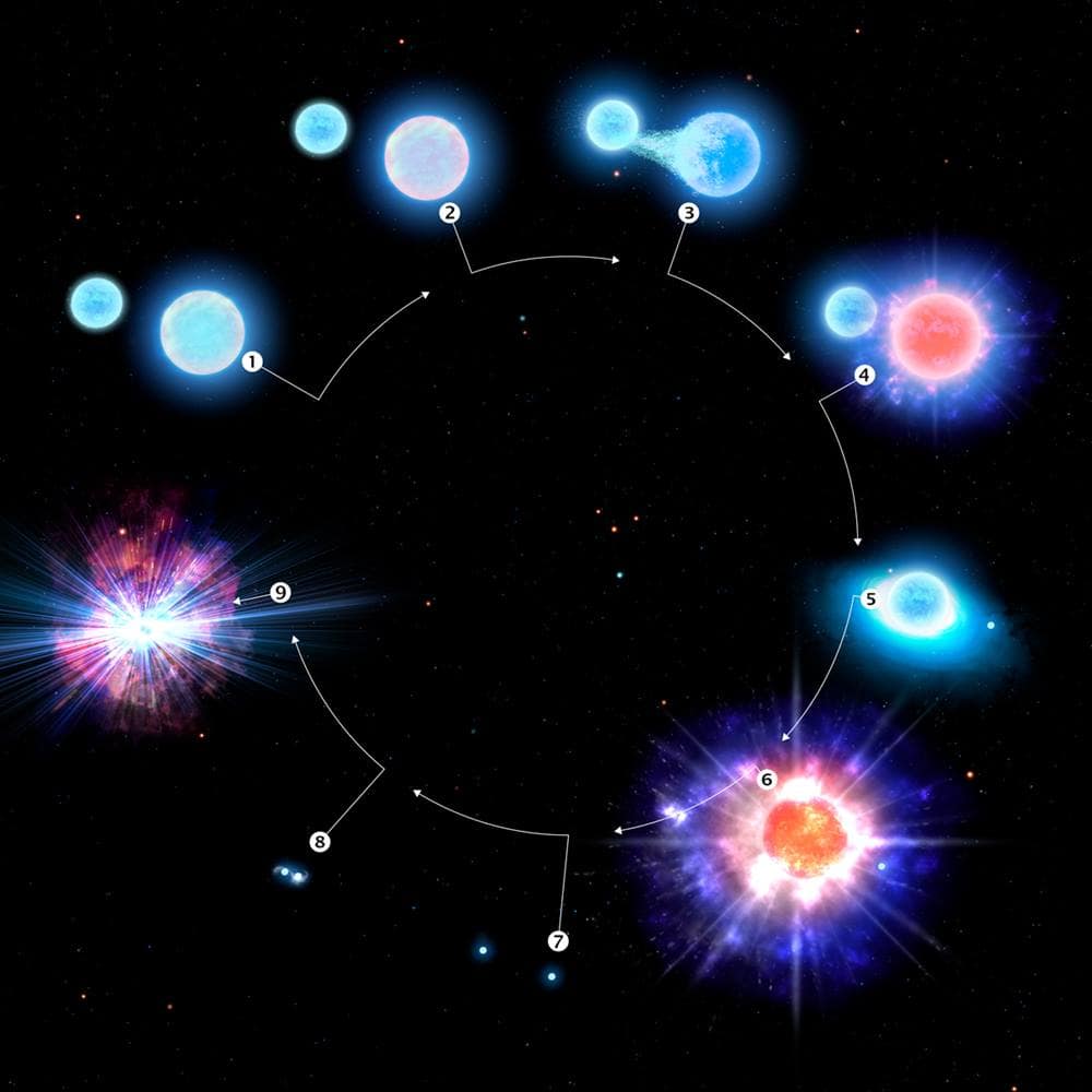 эволюция звездной системы