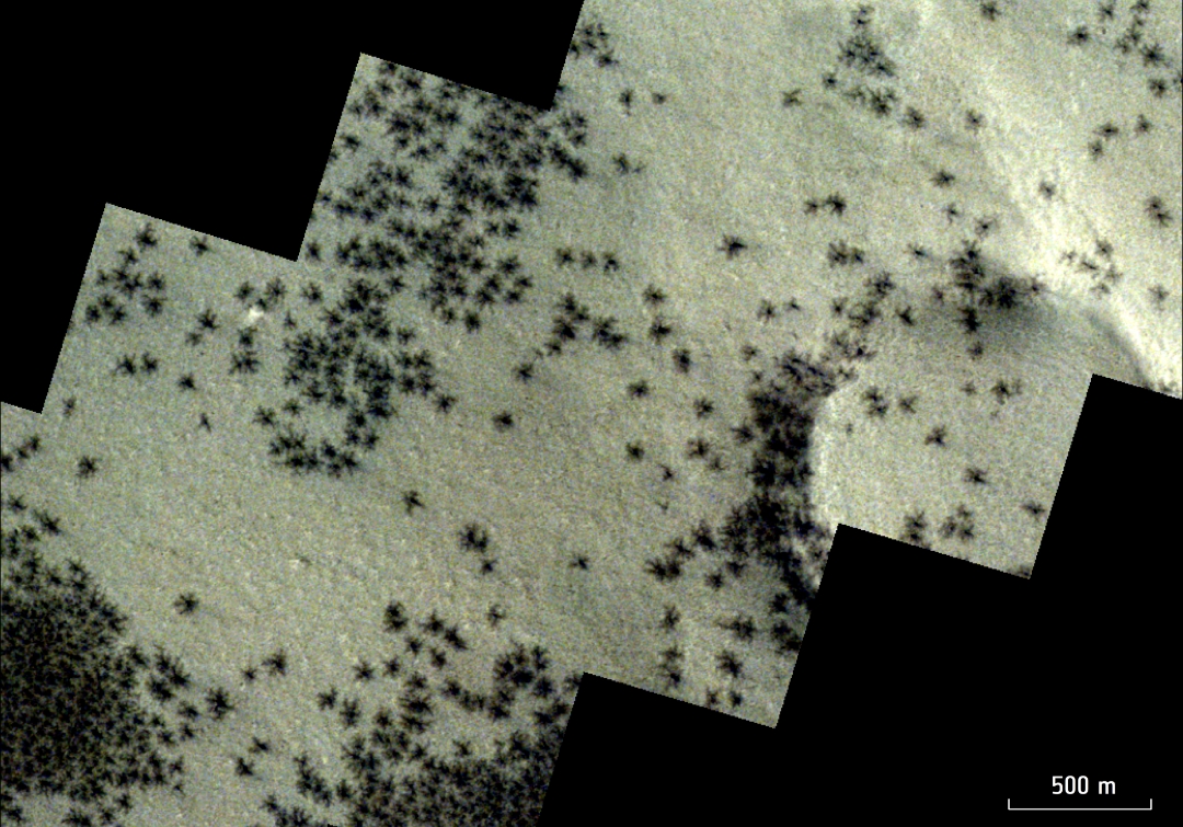 павукоподібні особливості на Марсі