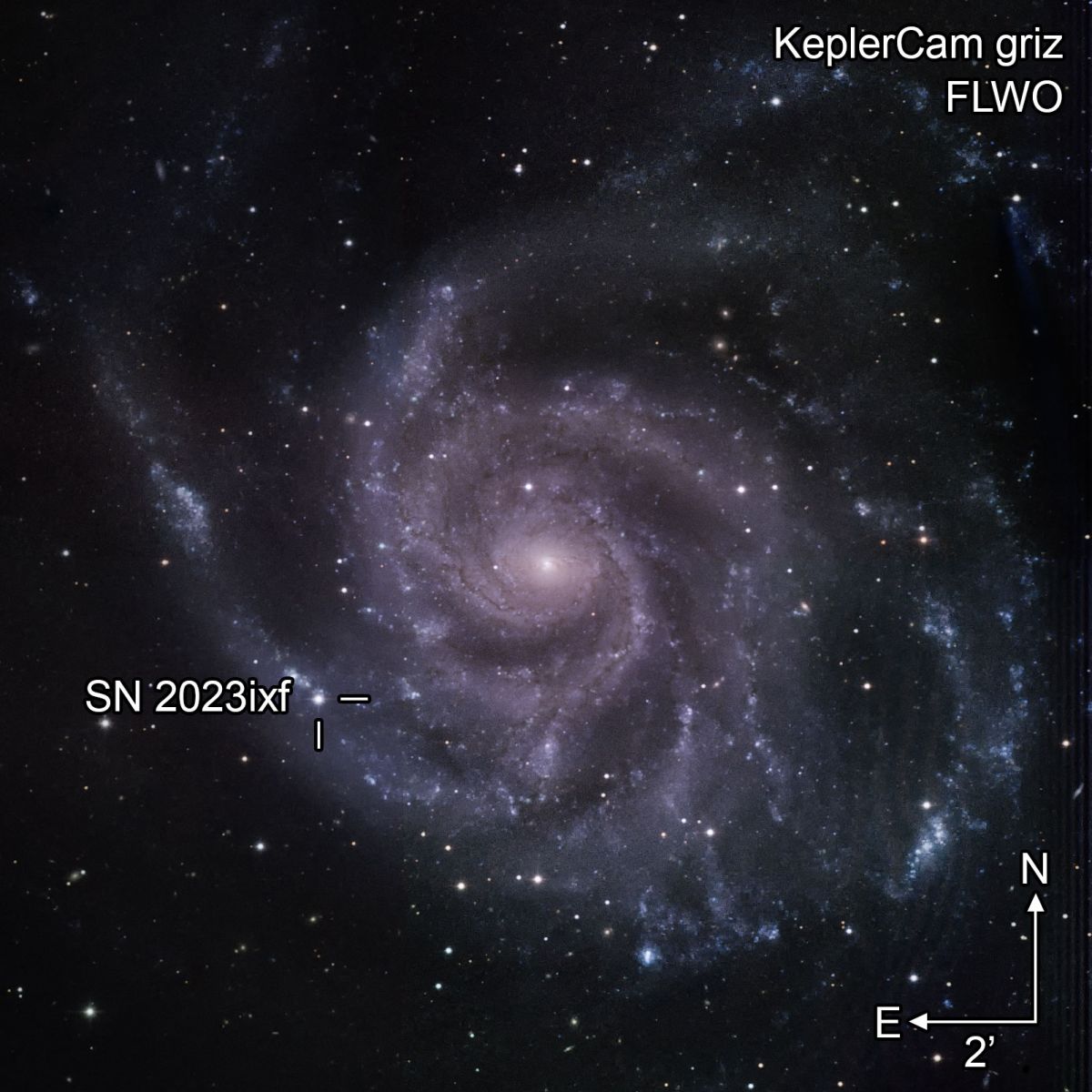 SN2023ixf 2